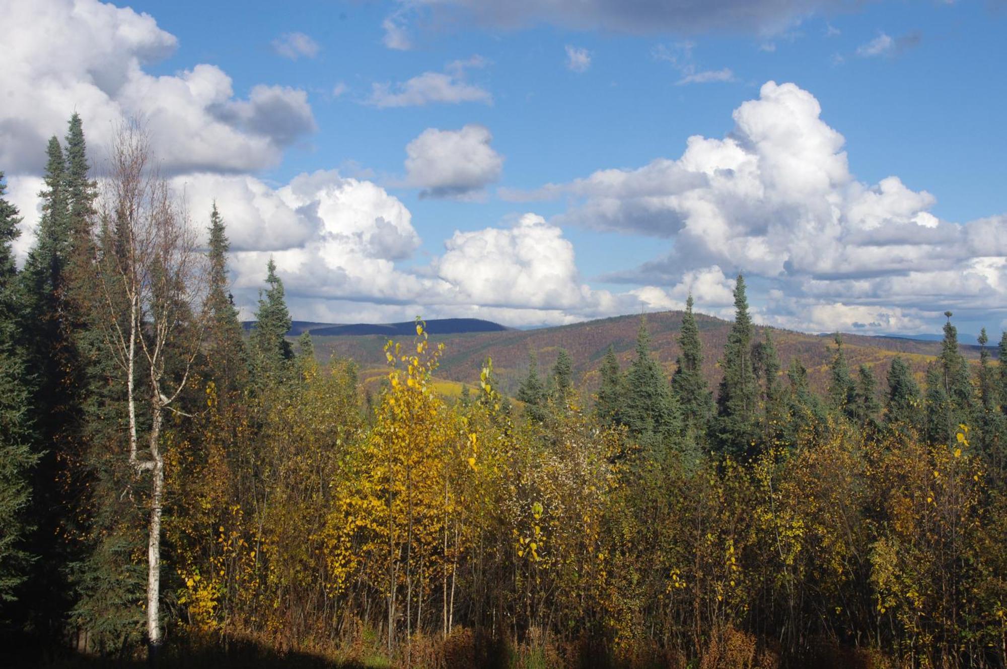 Appartamento Aurora Viewing Deck And Peaceful Retreat Fairbanks Esterno foto